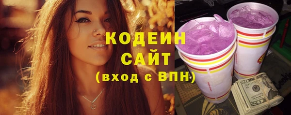 PSILOCYBIN Алзамай