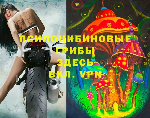 соль ск Алексин