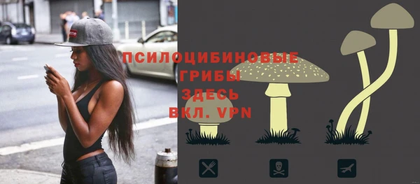 СК Алексеевка