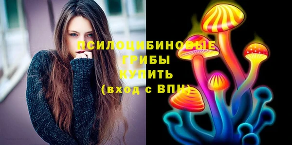 PSILOCYBIN Алзамай