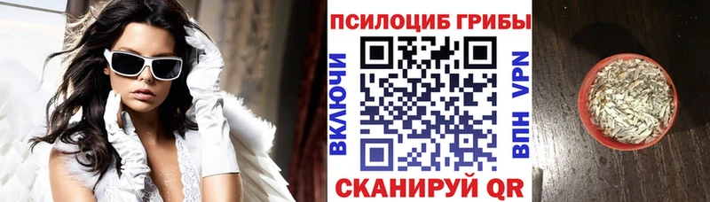 закладки  Зеленокумск  Псилоцибиновые грибы мухоморы 